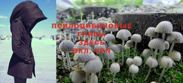 ГАЛЛЮЦИНОГЕННЫЕ ГРИБЫ Абдулино